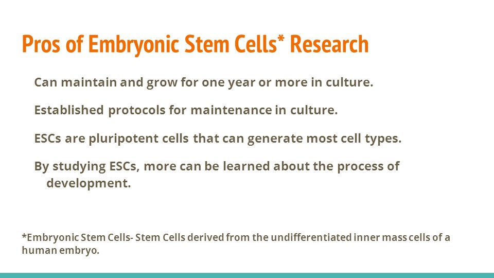 Embryonic stem cell research pro and cons essay