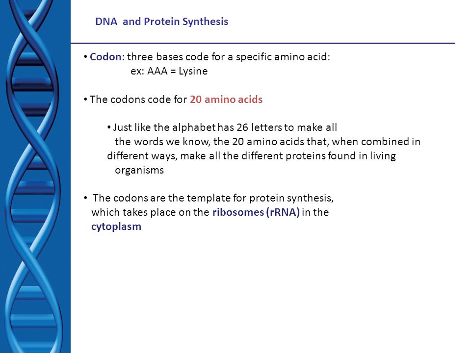 What is the process of creating MRNA from the code in DNA?