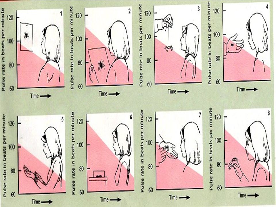 systematic desensitization rome fontanacountryinn com systematic desensitization
