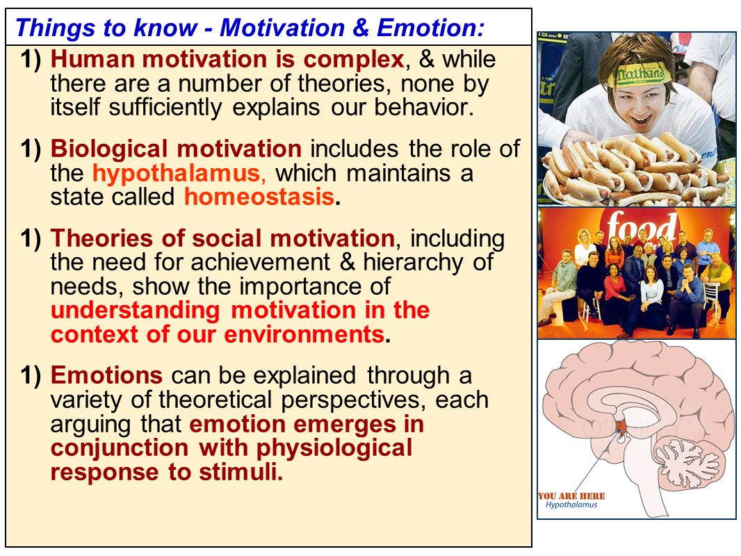 motivation emotion and behavior Overview of chapter 9: motivation and emotion motivation is the study of the activation, direction, intensity, and duration of behavior that covers a broad territory why do you make the decisions you make. motivation emotion and behavior Overview of chapter 9: motivation and emotion motivation is the study of the activation, direction, intensity, and duration of behavior that covers a broad territory why do you make the decisions you make.