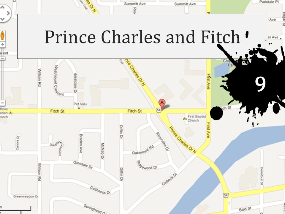 Prince Charles and Fitch