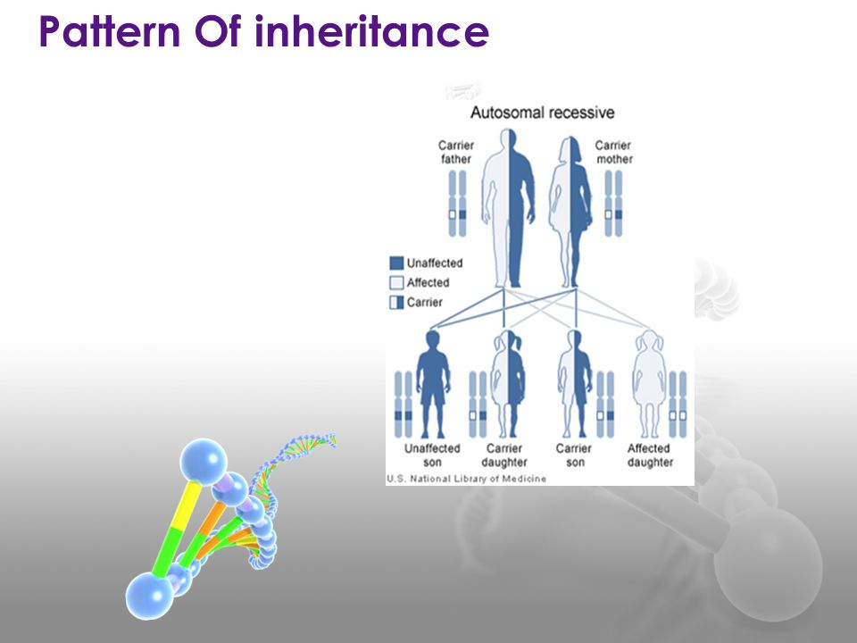 Pattern Of inheritance