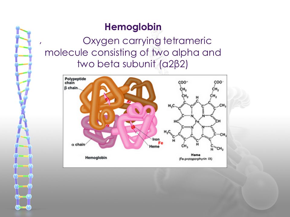 Hemoglobin Oxygen carrying tetrameric molecule consisting of two alpha and two beta subunit (α2β2),