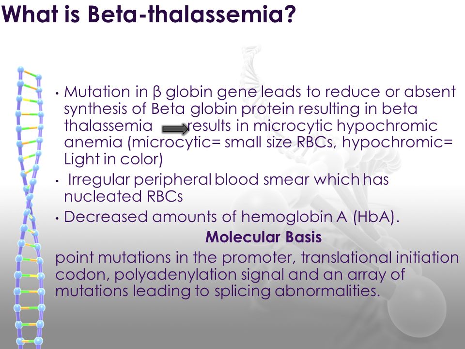 Mutation in β globin gene leads to reduce or absent synthesis of Beta globin protein resulting in beta thalassemia results in microcytic hypochromic anemia (microcytic= small size RBCs, hypochromic= Light in color) Irregular peripheral blood smear which has nucleated RBCs Decreased amounts of hemoglobin A (HbA).