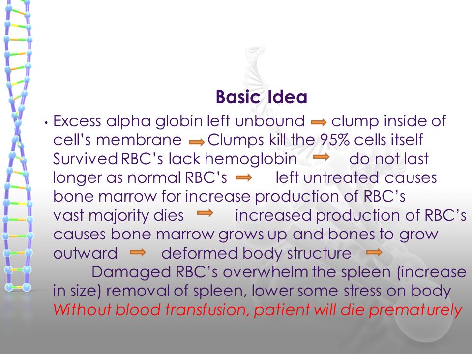 Basic Idea Excess alpha globin left unbound clump inside of cell’s membrane Clumps kill the 95% cells itself Survived RBC’s lack hemoglobin do not last longer as normal RBC’s left untreated causes bone marrow for increase production of RBC’s vast majority dies increased production of RBC’s causes bone marrow grows up and bones to grow outward deformed body structure Damaged RBC’s overwhelm the spleen (increase in size) removal of spleen, lower some stress on body Without blood transfusion, patient will die prematurely