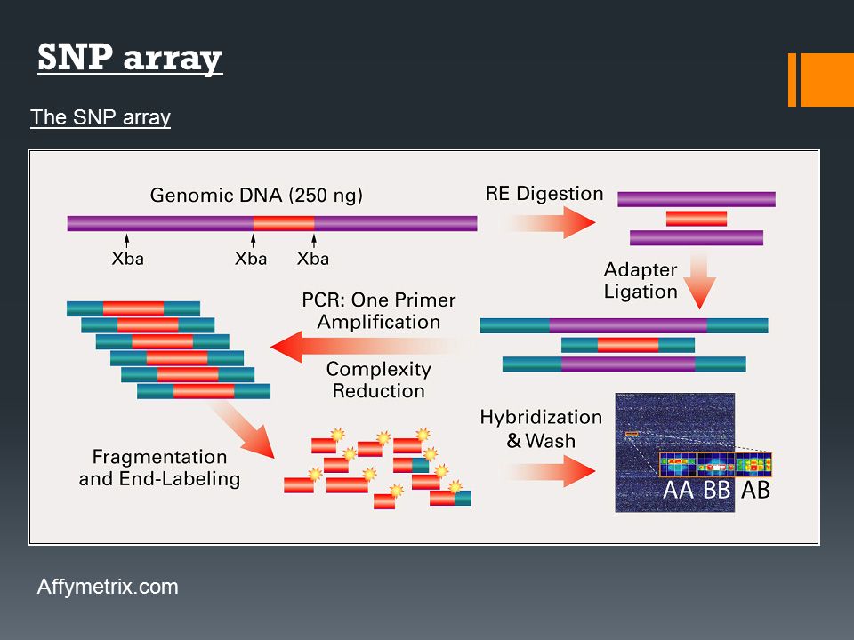 snp array