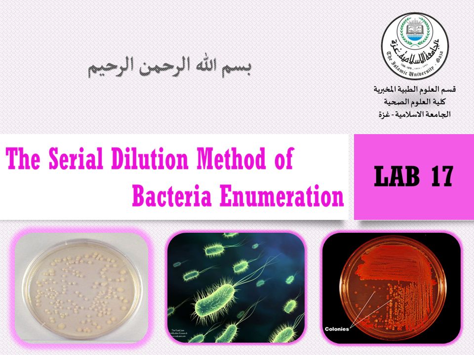 the scientific determinations of beauty This science project has students study the idea of human beauty. the scientific determinations of beauty This science project has students study the idea of human beauty.