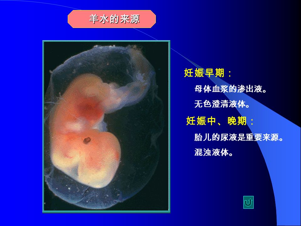 羊水的来源 妊娠早期： 母体血浆的渗出液。 无色澄清液体。 妊娠中、晚期： 胎儿的尿液是重要来源。 混浊液体。