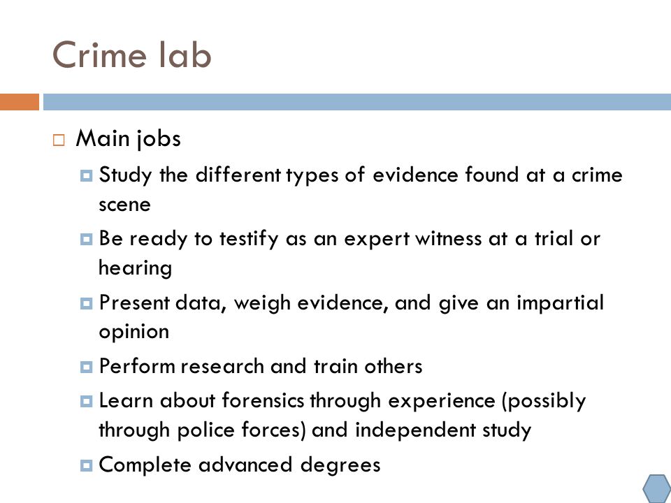 crime lab scandal essay You can buy reasearch papers at our website our writers are professionals and will follow all of your guidelines we guarantee you proper formatting and on-time delivery. crime lab scandal essay You can buy reasearch papers at our website our writers are professionals and will follow all of your guidelines we guarantee you proper formatting and on-time delivery.
