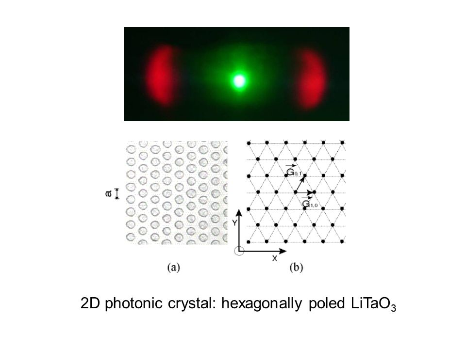 2D photonic crystal: hexagonally poled LiTaO 3