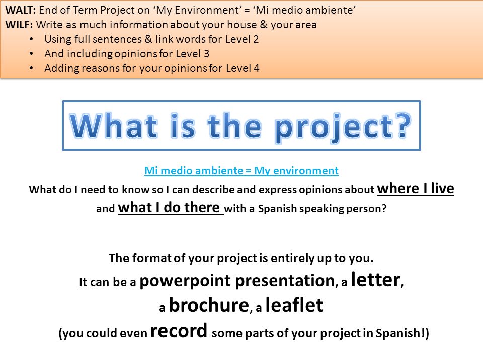 format of presentation of project