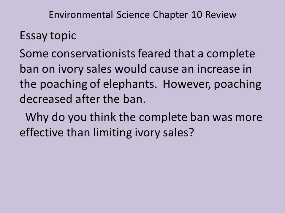 Environmental Essay