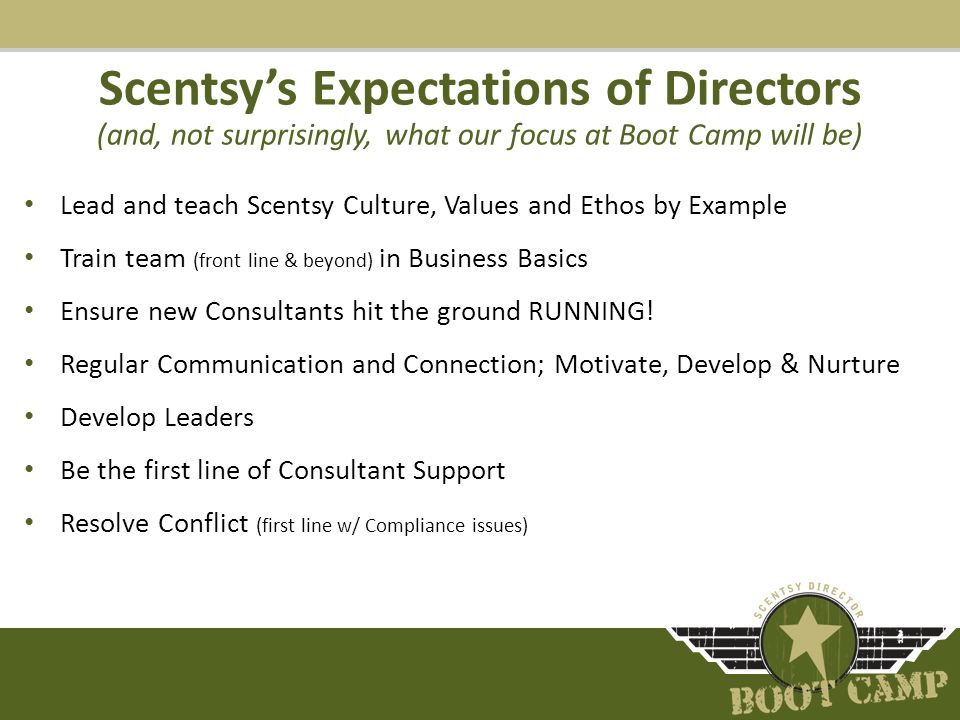 scentsy consultant support