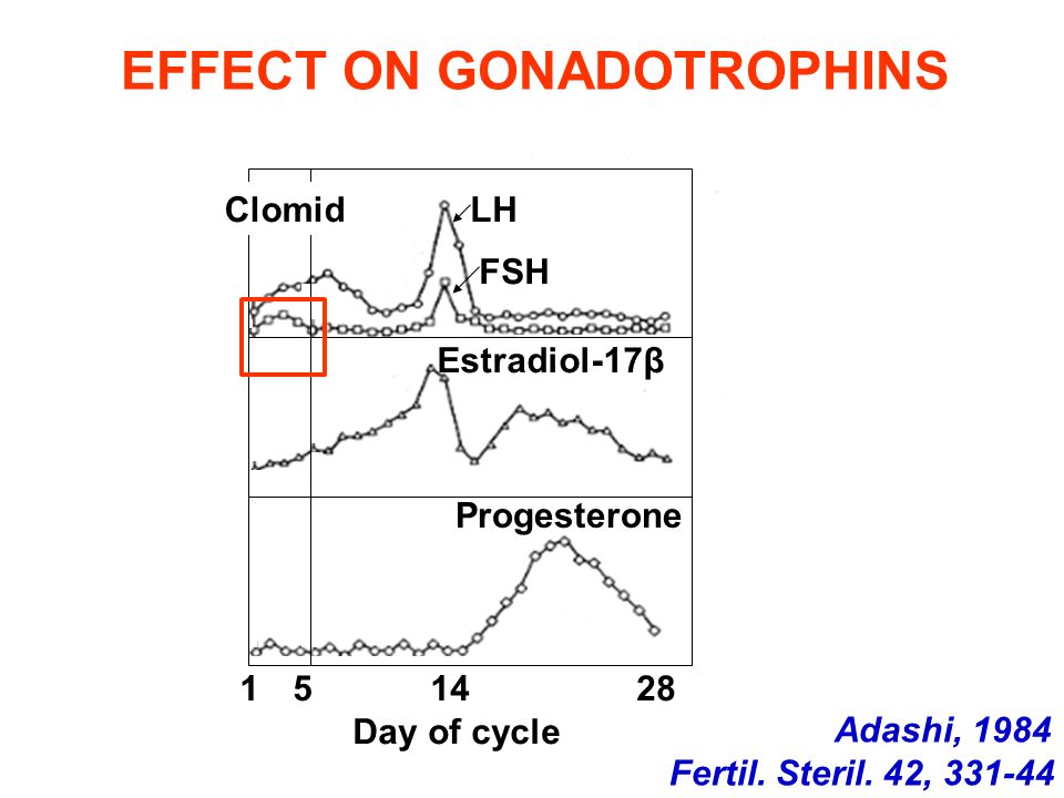 Clomid And Cycle Day