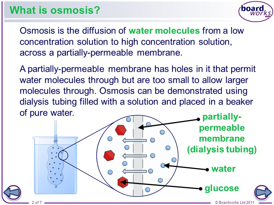 osmosis and the visking tubing osmosis and the visking tubing