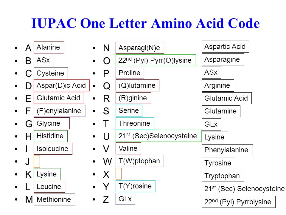 1 discussion practical 1 features of major databases pubmed and glutamine letter