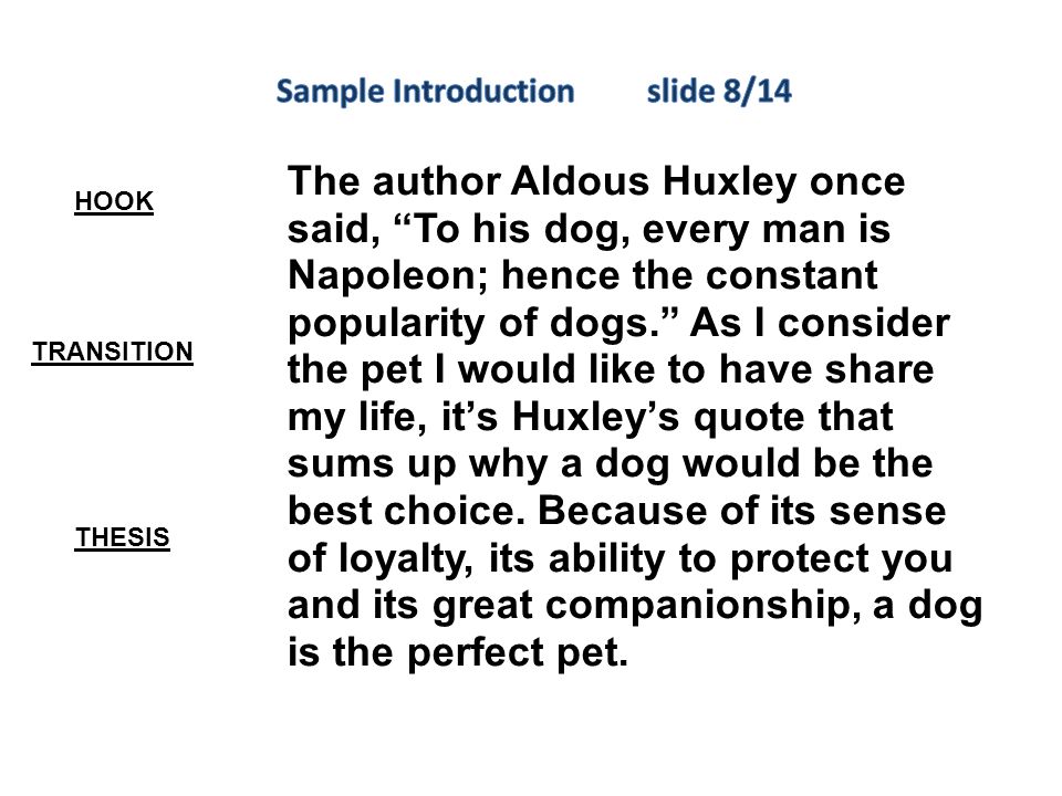 pet essay sample