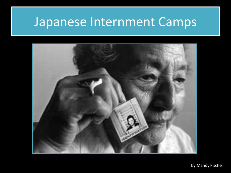 Japanese Internment Essay