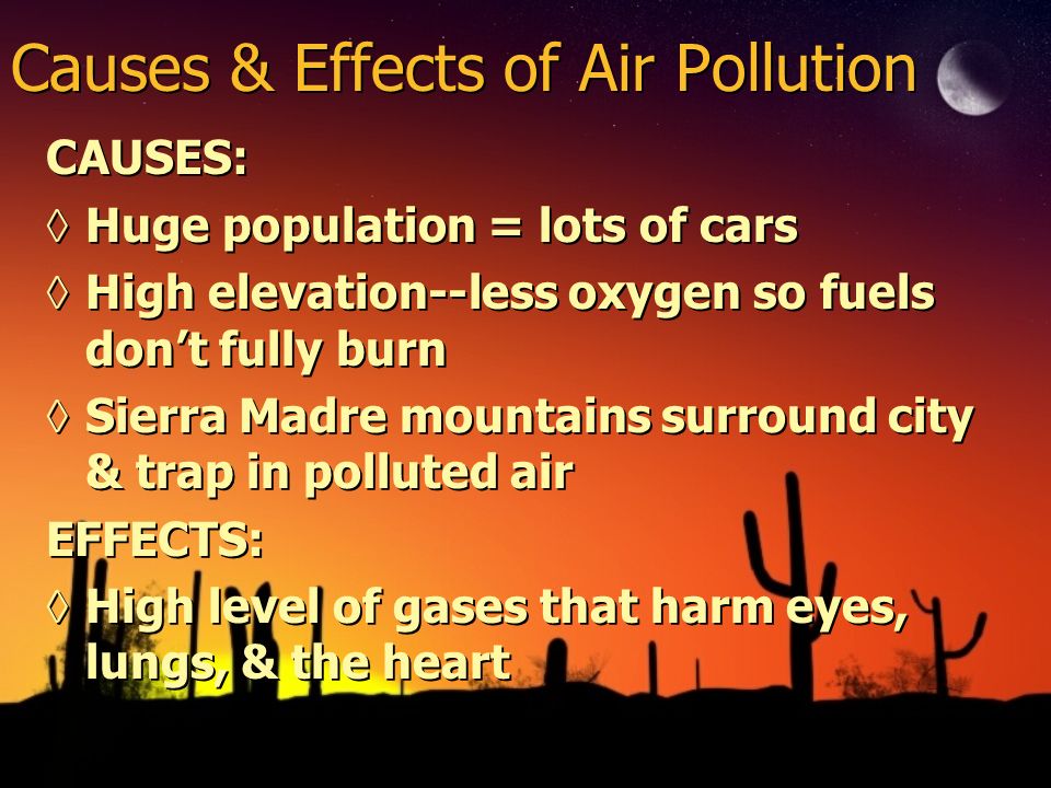 pollution which is caused by overpopulation That's what the human population has successfully been doing for thousands and if not the majority is caused by factors which the poor themselves often have no. pollution which is caused by overpopulation That's what the human population has successfully been doing for thousands and if not the majority is caused by factors which the poor themselves often have no.