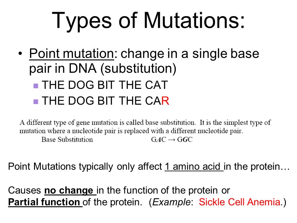 mutations and viruses essential questions what are the different types of mutations