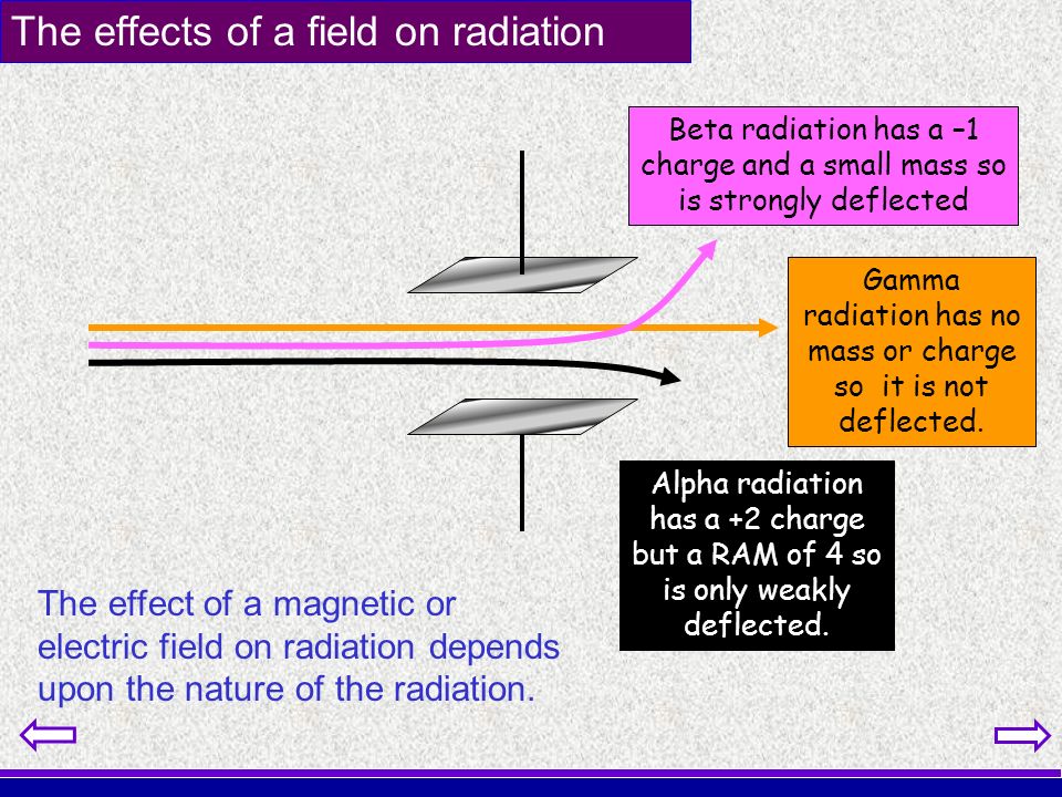 an analysis of the effects of radioactivity on humans While this small dose of radiation has not been shown to have any adverse biological effects on humans how high doses of radiation can damage the human. an analysis of the effects of radioactivity on humans While this small dose of radiation has not been shown to have any adverse biological effects on humans how high doses of radiation can damage the human.