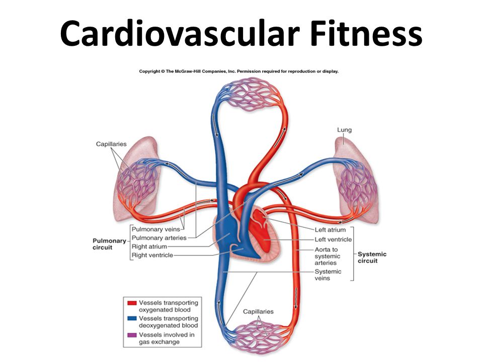 cardiovascular fitness offsets decline in cognitive What is cod liver oil cod liver oil is a nutrient-dense source of essential vitamins including vitamin d and vitamin a as well as anti-inflammatory omega-3 fatty acids considering most people don’t eat enough anti-inflammatory foods that provide both vitamin d and omega-3s — important nutrients that play a crucial role in cardiovascular. cardiovascular fitness offsets decline in cognitive What is cod liver oil cod liver oil is a nutrient-dense source of essential vitamins including vitamin d and vitamin a as well as anti-inflammatory omega-3 fatty acids considering most people don’t eat enough anti-inflammatory foods that provide both vitamin d and omega-3s — important nutrients that play a crucial role in cardiovascular.