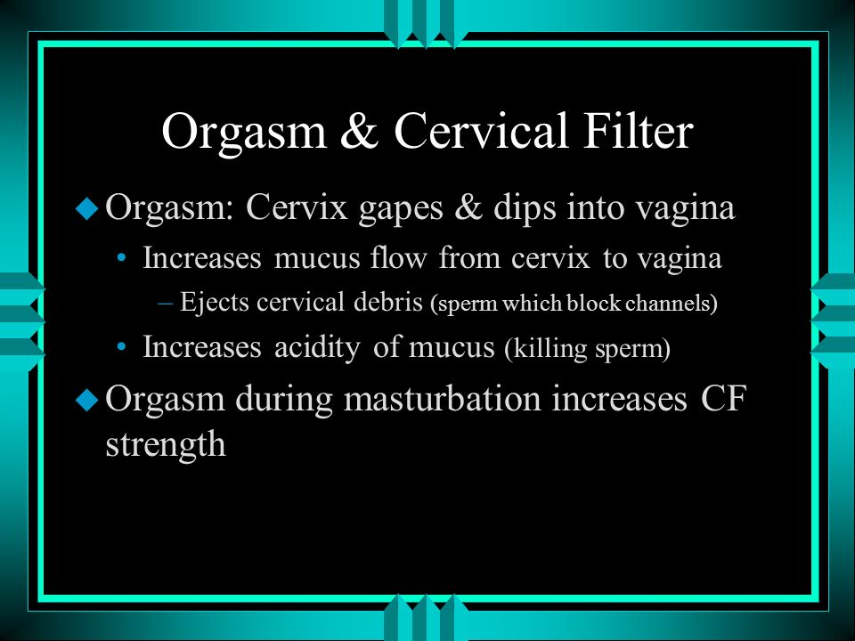 Clip free fuck gay guy The function of sperm