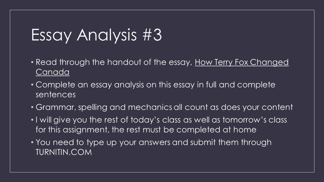 Essay Analysis