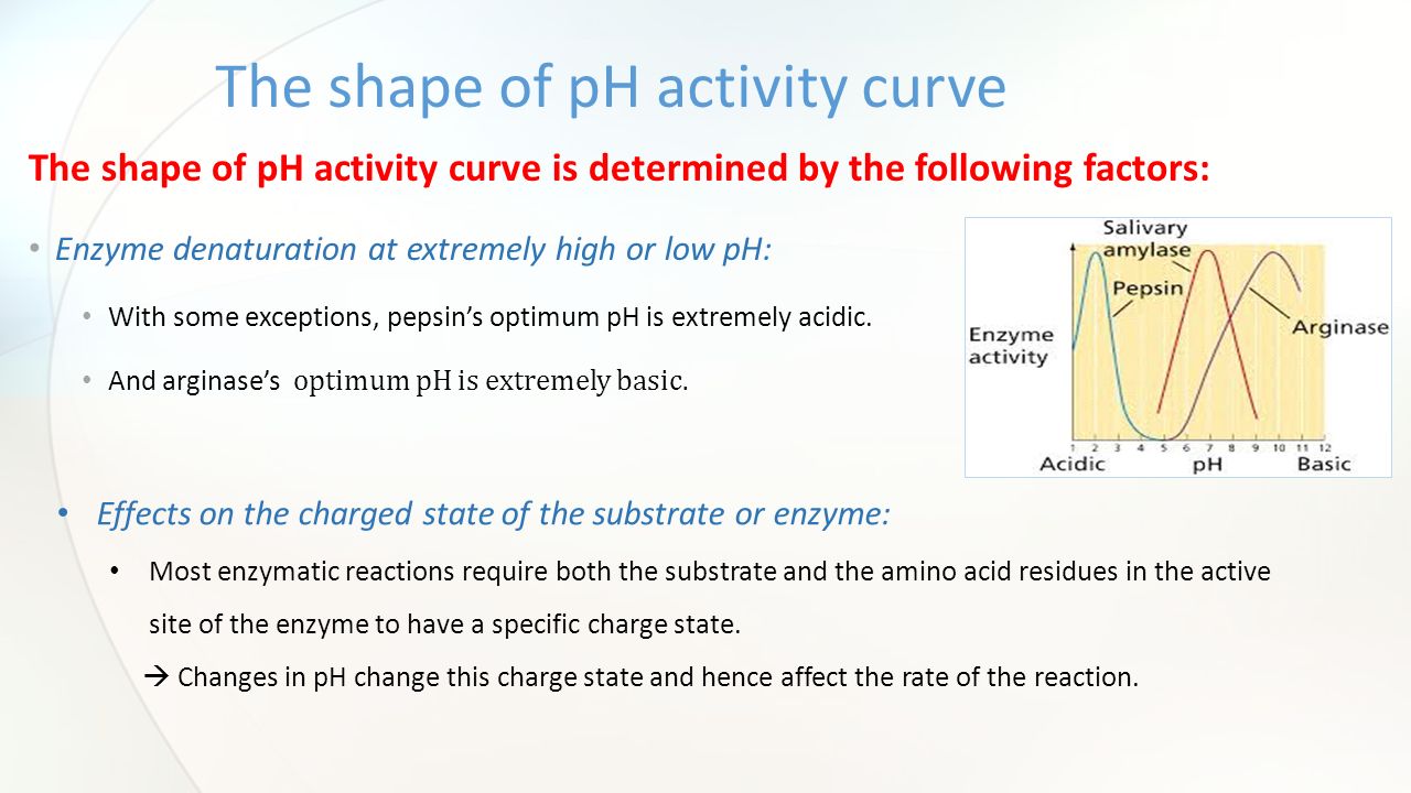 the affects of ph and pepsin ■ figure 44 the effect of ph on the activity of three digestive enzymes salivary amylase is found in saliva, which has a ph close to neutral pepsin is found in acidic gastric juice, and trypsin is found in alkaline pancreatic juice. the affects of ph and pepsin ■ figure 44 the effect of ph on the activity of three digestive enzymes salivary amylase is found in saliva, which has a ph close to neutral pepsin is found in acidic gastric juice, and trypsin is found in alkaline pancreatic juice.