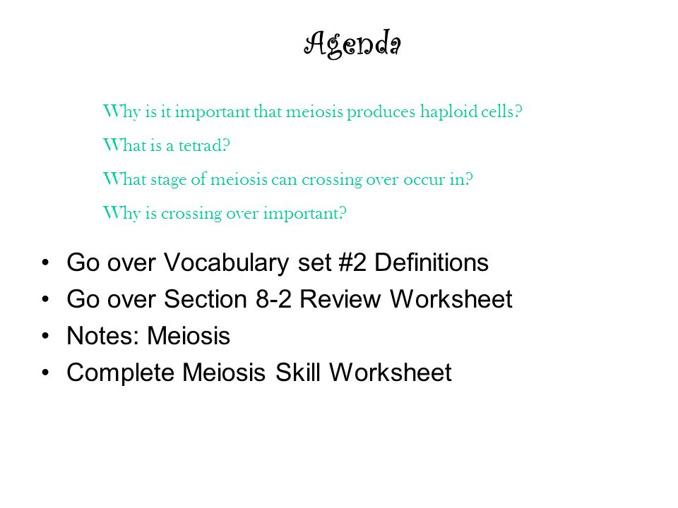 Skills Worksheet Vocabulary Review Delibertad Agenda Go Over Vocabulary Set 2 Definitions Section 8