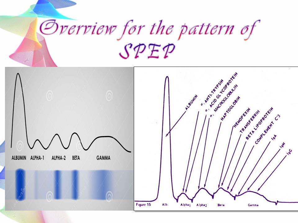 serum electrophoresis