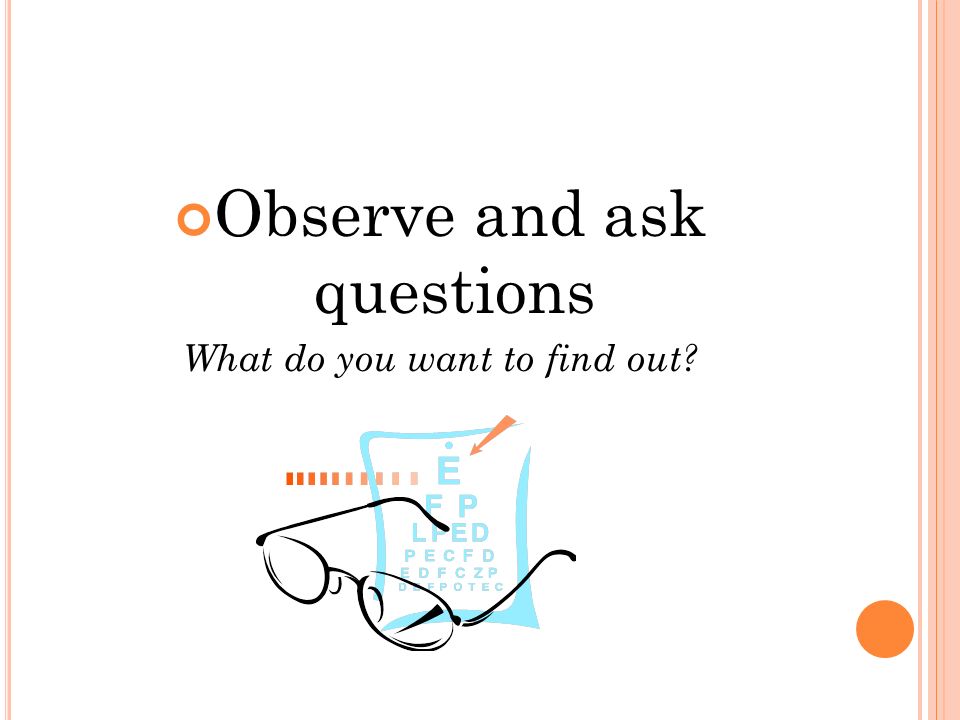 Observe and ask questions What do you want to find out