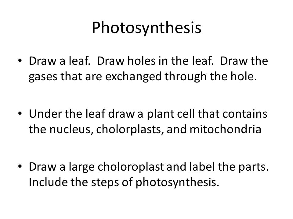 Write The Balanced Equations For Photosynthesis And Cellular Carbohydrate Photosynthesis And Cellular Respiration Review