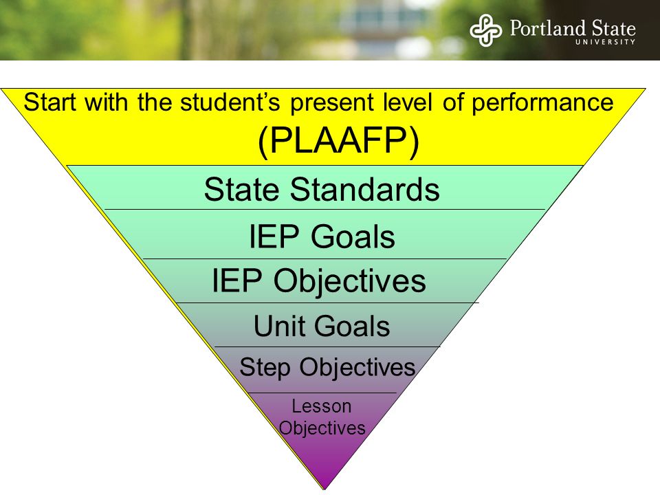 level of performance level of performance