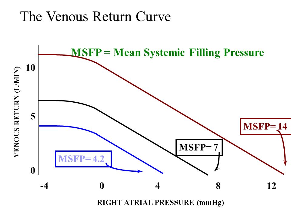 venous return