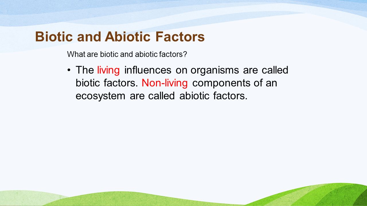 a definition of ecosystem and the factors influencing ecosystems The abiotic factors effect the ecosystem and play a light is the primary source of energy to almost all ecosystems definition list of abiotic factors soil. a definition of ecosystem and the factors influencing ecosystems The abiotic factors effect the ecosystem and play a light is the primary source of energy to almost all ecosystems definition list of abiotic factors soil.
