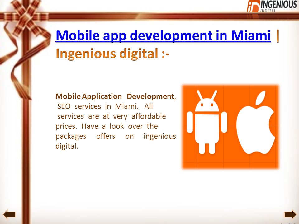 Mobile Application Development, SEO services in Miami.