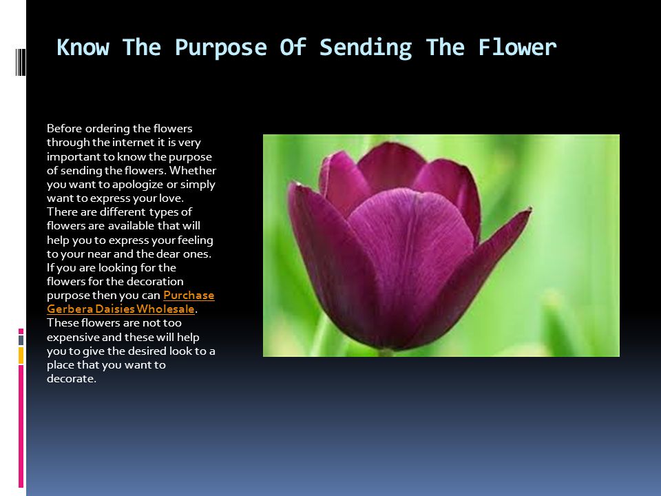 Know The Purpose Of Sending The Flower Before ordering the flowers through the internet it is very important to know the purpose of sending the flowers.
