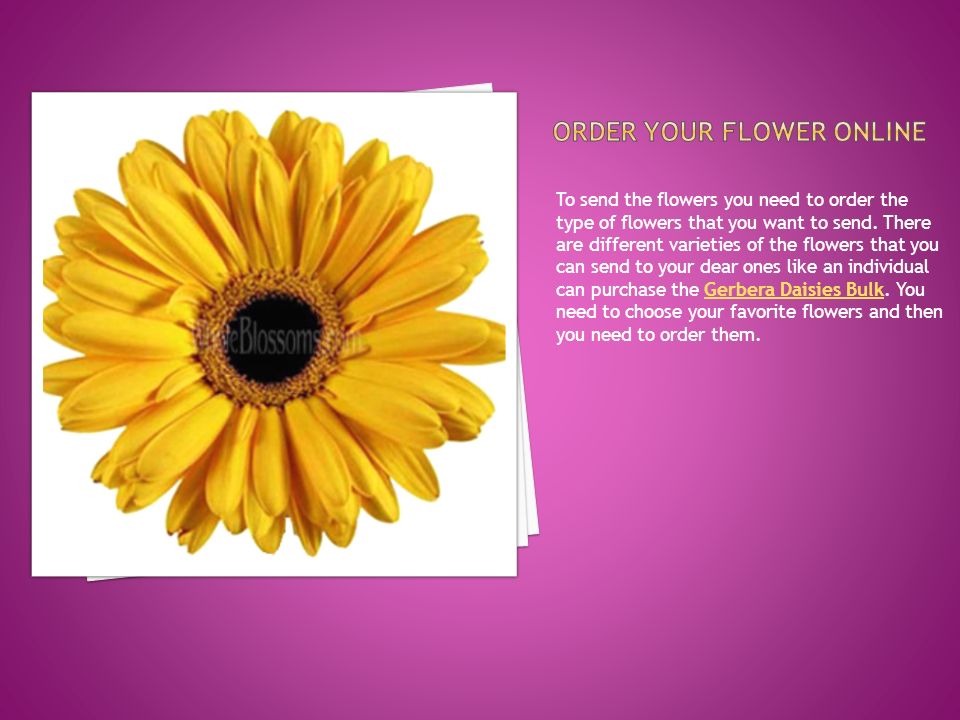 To send the flowers you need to order the type of flowers that you want to send.