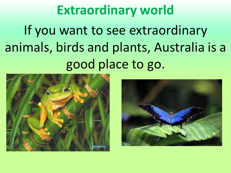 Extraordinary world If you want to see extraordinary animals, birds and plants, Australia is a good place to go.
