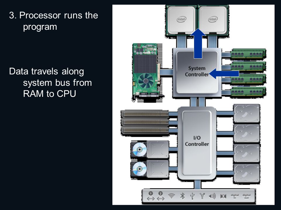3. Processor runs the program Data travels along system bus from RAM to CPU