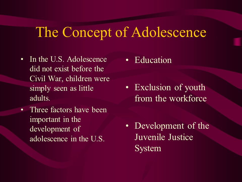 The Concept of Adolescence In the U.S.