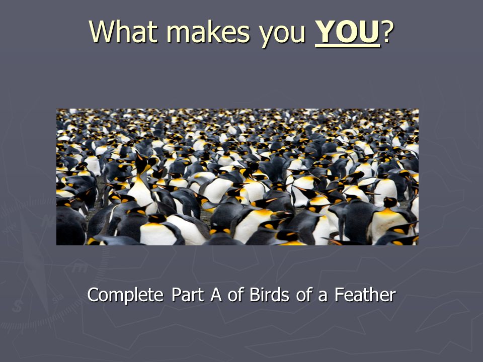 What makes you YOU Complete Part A of Birds of a Feather