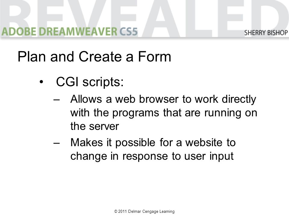 © 2011 Delmar Cengage Learning Plan and Create a Form CGI scripts: –Allows a web browser to work directly with the programs that are running on the server –Makes it possible for a website to change in response to user input