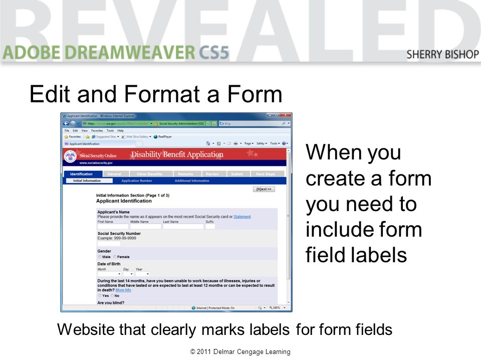 © 2011 Delmar Cengage Learning Edit and Format a Form When you create a form you need to include form field labels Website that clearly marks labels for form fields