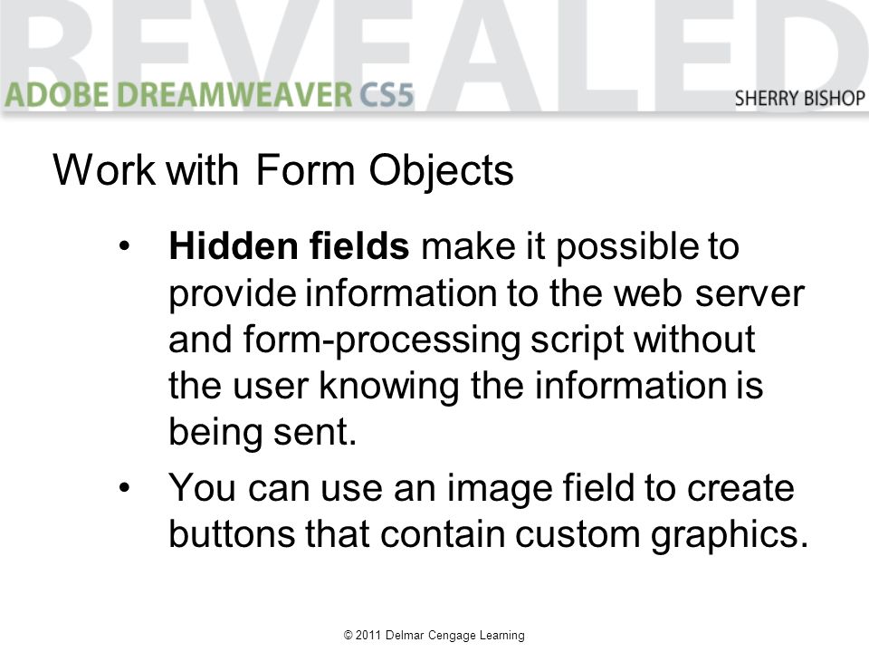 © 2011 Delmar Cengage Learning Work with Form Objects Hidden fields make it possible to provide information to the web server and form-processing script without the user knowing the information is being sent.