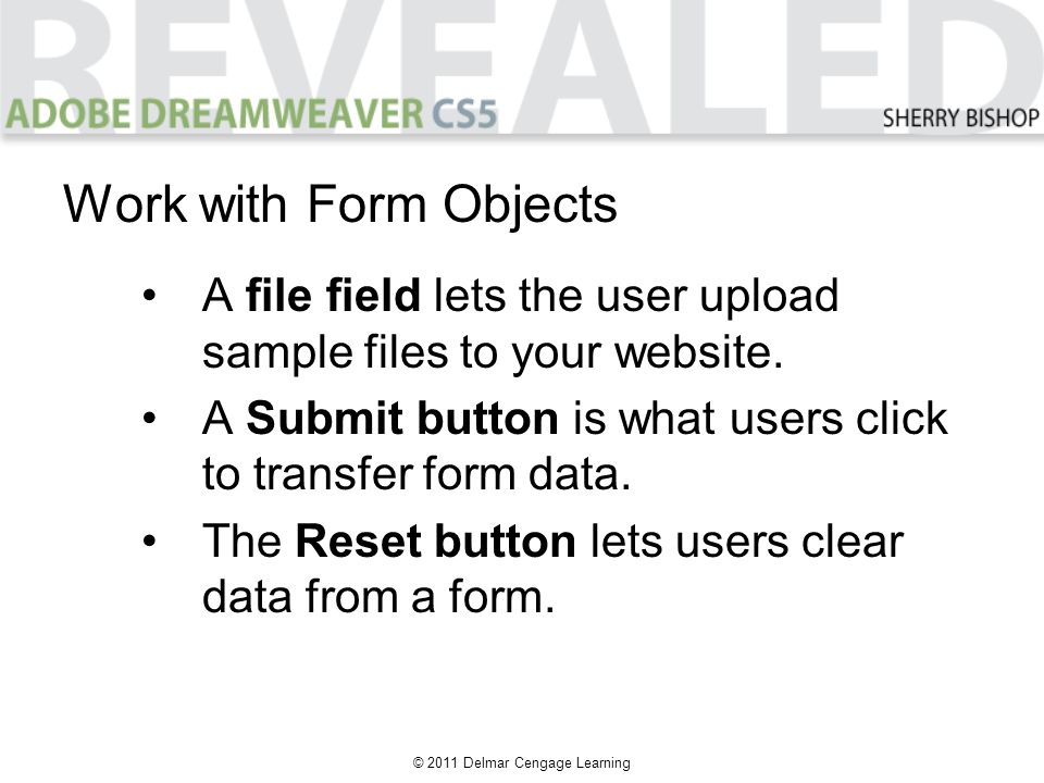 © 2011 Delmar Cengage Learning Work with Form Objects A file field lets the user upload sample files to your website.