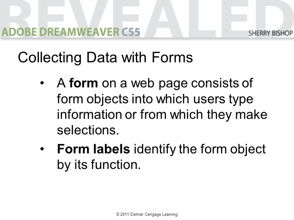 © 2011 Delmar Cengage Learning Collecting Data with Forms A form on a web page consists of form objects into which users type information or from which they make selections.