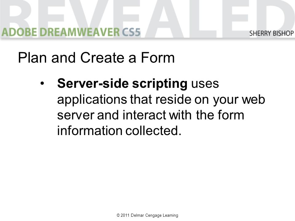 © 2011 Delmar Cengage Learning Plan and Create a Form Server-side scripting uses applications that reside on your web server and interact with the form information collected.