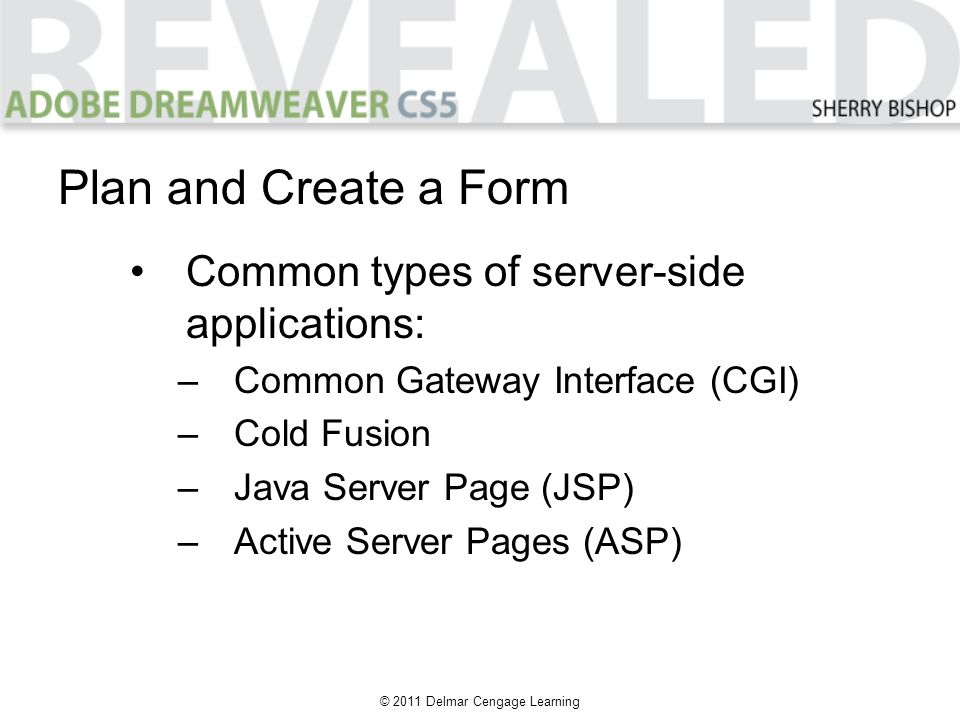 © 2011 Delmar Cengage Learning Plan and Create a Form Common types of server-side applications: –Common Gateway Interface (CGI) –Cold Fusion –Java Server Page (JSP) –Active Server Pages (ASP)